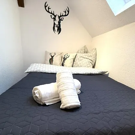 Natur-apartment Am Grossen Arber Netflix Wifi Appartement