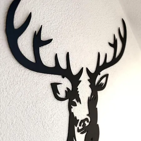 Natur-apartment Am Grossen Arber Netflix Wifi Bayerisch Eisenstein