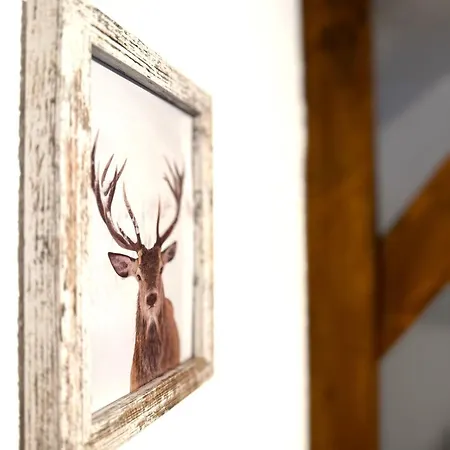 Natur-apartment Am Grossen Arber Netflix Wifi