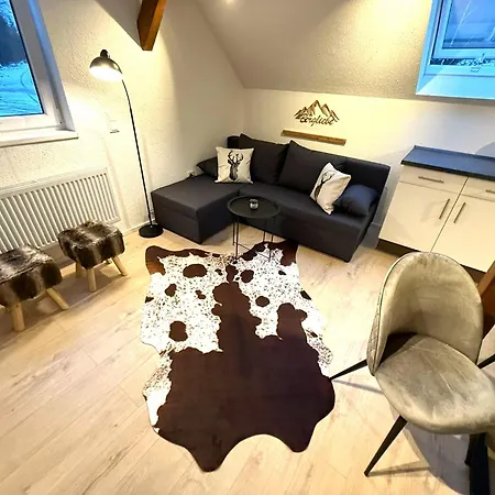 Natur-apartment Am Grossen Arber Netflix Wifi Bayerisch Eisenstein