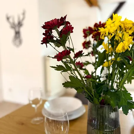 Natur-apartment Am Grossen Arber Netflix Wifi * Bayerisch Eisenstein