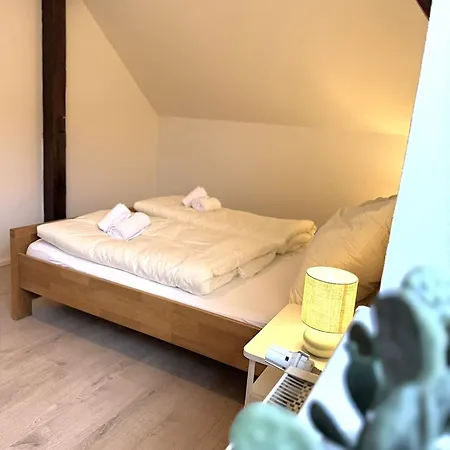 Natur-apartment Am Grossen Arber Netflix Wifi Bayerisch Eisenstein