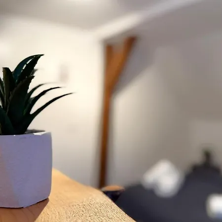 Natur-apartment Am Grossen Arber Netflix Wifi *