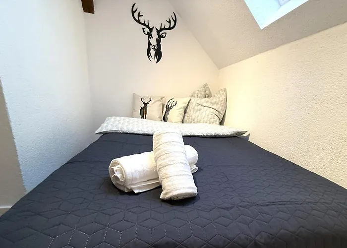 Natur-apartment Am Großen Arber Netflix Wifi Apartment