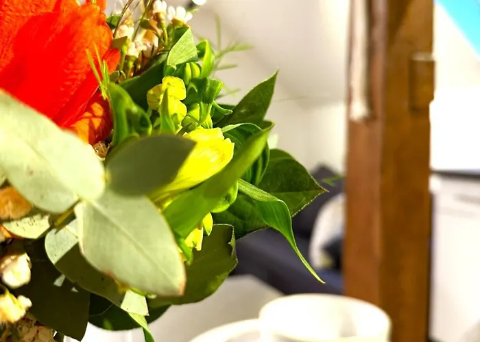 Natur-apartment Am Großen Arber Netflix Wifi Apartment