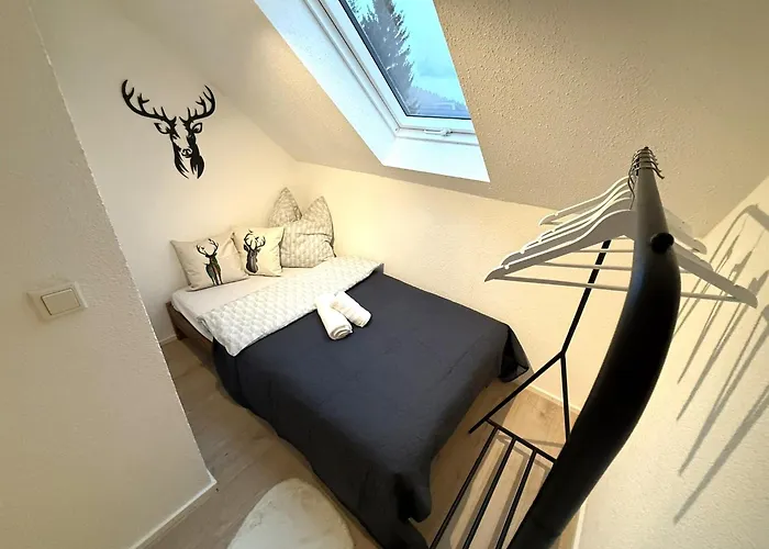 Apartment Natur-apartment Am Großen Arber Netflix Wifi *