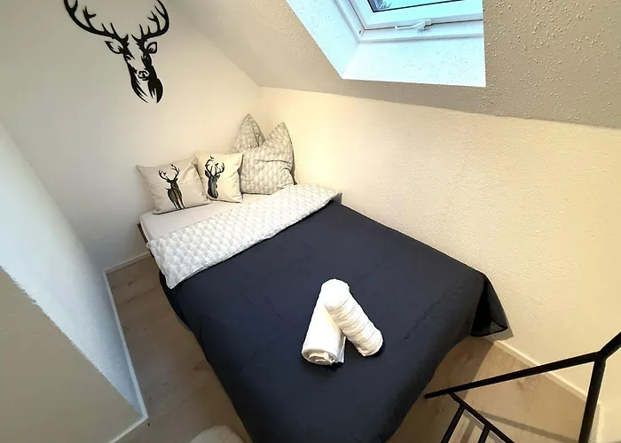 Natur-apartment Am Großen Arber Netflix Wifi Apartment